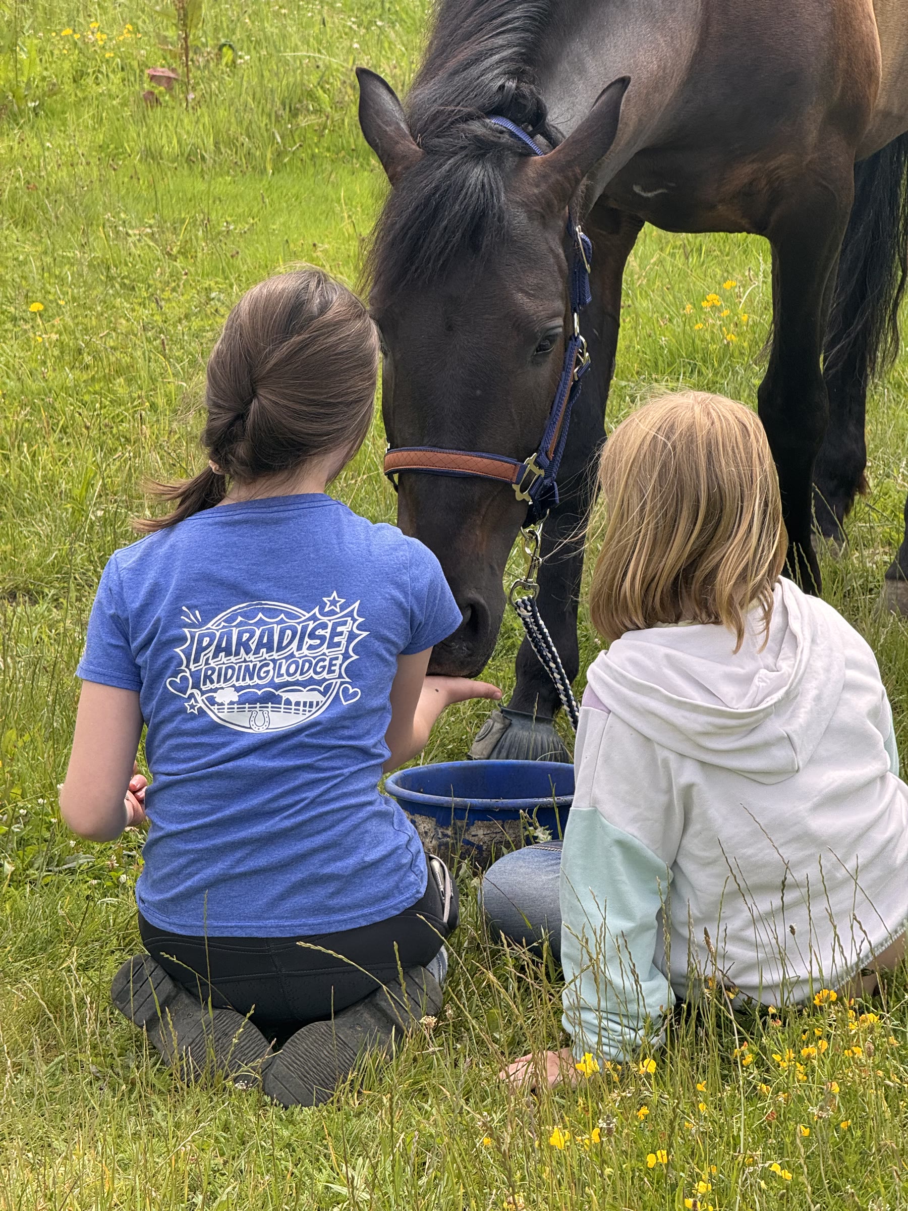 Zwei Kinder sitzen im Gras bei einem Pferd
